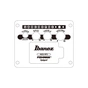 Гітара електроакустична Ibanez AEWC621 BOT (236714) - уменьшенное изображение 12