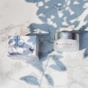 Крем для лица SPA Treatment Abso Moist Cream Увлажняющий 30 г (4513857304932) - уменьшенное изображение 6