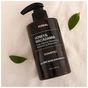 Шампунь Kundal Honey & Macadamia Nature Shampoo Lime Basil & Mandarin 500 мл (8809693259465) - зменшене зображення 2