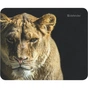 Коврик для мышки Defender Wild Animals (50803) - уменьшенное изображение 1