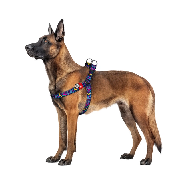 Шлея для собак WAUDOG Nylon з QR паспортом "Інді" пластиковий фастекс XL (324-0016) - picture 3