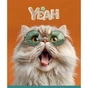 Тетрадь Школярик Star Cat's portraits 36 листов клетка (036-3631K) - уменьшенное изображение 5