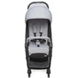 Коляска Chicco WE Stroller Grey (79885.19) - зменшене зображення 2