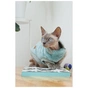 Светр для тварин Pet Fashion Tim М (4823082436019) - зменшене зображення 6