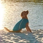 Жилет для тварин Pet Fashion E.Vest морська хвиля XS2 (4823082424122) - уменьшенное изображение 6