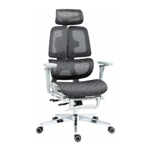 Офісне крісло GT Racer B-2450 White/Gray зображення 1