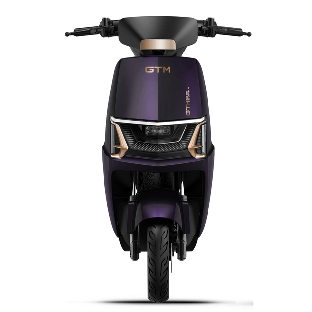 Електроскутер GTM Volt 1500 Wat (83816) - picture 2