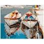 Картина по номерам Strateg Пара білих човників VA-1001 40х50 см (4820220566805) - зменшене зображення 1