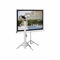 Проекційний екран T113UWS1 Black case Elite Screens (T113UWS1) - зменшене зображення 1