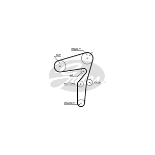 Ремінь ГРМ Gates 5623XS зображення 1