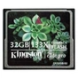 Карта пам'яті Kingston 32Gb Compact Flash 133x (CF/32GB-S2) - зменшене зображення 1