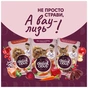 Вологий корм для собак Delickcious паелья з куркою 85 г (4820269147041) - зменшене зображення 6