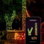 Гірлянда Twinkly Smart LED Dots 60 RGB LED Lights String Clear Wire USB-A IP20 3м (TWD060STP-T) - зменшене зображення 8