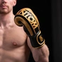 Боксерські рукавички Phantom APEX Elastic Gold 16oz (PHBG2215-16) - зменшене зображення 5