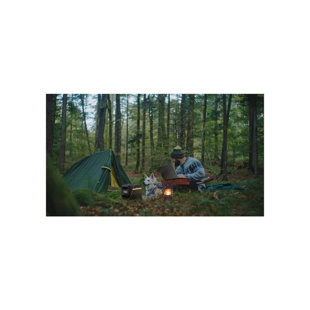 Зарядна станція Acer APS321 1800W 1229Wh (APS321) - зображення 10