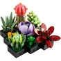 Конструктор LEGO Botanicals Сукуленти (10309-) - зменшене зображення 2