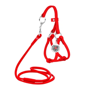 Шлея для собак WAUDOG Glamour з повідцем кругла Д 6 мм А 26-46 см В 30-50 см червона (34013) зображення 1