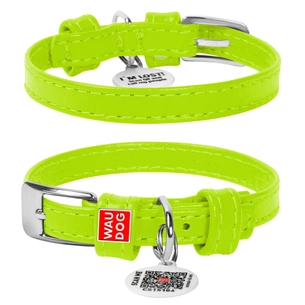 Нашийник для тварин WAUDOG Glamour з QR паспортом без прикрас XS Ш 15 мм салатовий (32705) зображення 1