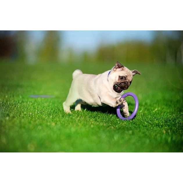 Игрушка для собак Puller Micro 13 см 2шт (6489) - изображение 7