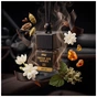 Ароматизатор для автомобиля Vitol Osvizhuvach povitrya VITOL Fresh Air Series New Car III 8ml V23033 (V23033) - уменьшенное изображение 6