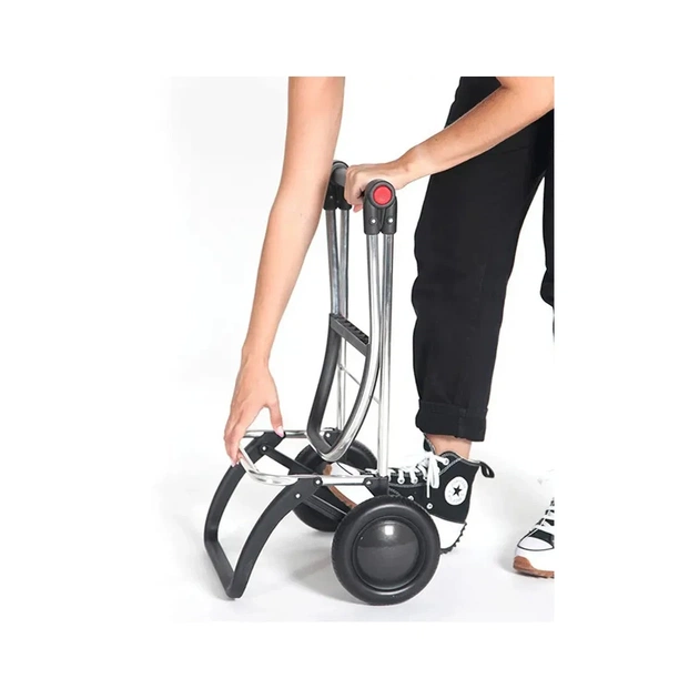 Сумка-візок Rolser I-Max MF 2L 43 Burdeos (929649) - picture 11