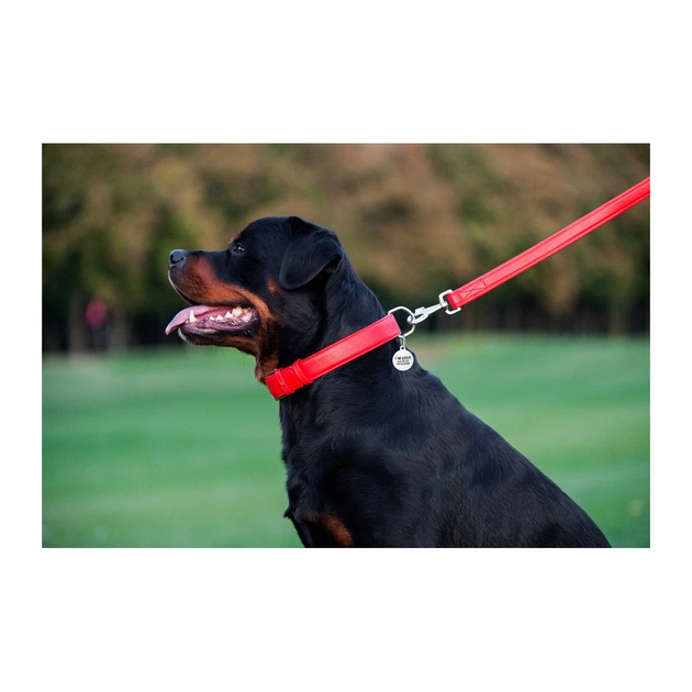 Повідець для собак WAUDOG Glamour шкіряний M-XXL червоний (33763) - picture 8