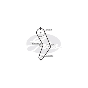 Ремінь ГРМ Gates 5662XS зображення 1