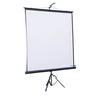 Проекційний екран Atria TRM-NTSC-120D - зменшене зображення 1