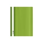 Папка-швидкозшивач Economix А4 без перфорації, фактура "глянець", салатова (E31511-13) - зменшене зображення 1