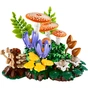 Конструктор LEGO Botanicals Лесные грибы (11505) - уменьшенное изображение 2