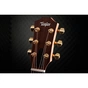 Гітара електроакустична Taylor Guitars 50th Anniversary GS Mini-e Rosewood SB LTD (236873) - зменшене зображення 5
