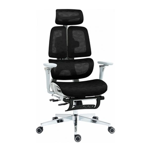 Офісне крісло GT Racer B-2450 White/Black зображення 1