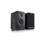 Акустична система F&D R40BT Black - зменшене зображення 1