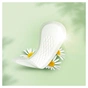 Щоденні прокладки Naturella Сamomile Light 20 шт. (4015400240310) - зменшене зображення 3