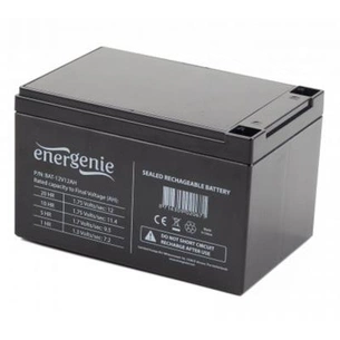 Батарея до ДБЖ EnerGenie 12В 12 Ач (BAT-12V12AH) зображення 1