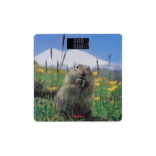 Ваги підлогові Ardesto SCB-965MARMOT зображення 1