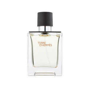 Туалетна вода Hermes Terre d'Hermes тестер 100 мл (3346131400027) зображення 1