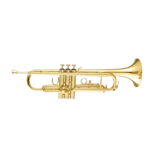 Труба Maxtone TTC30L (TTC1C) изображение 1