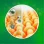 Капсули для прання Ariel Pods Все-в-1 Color 27 шт. (8001090456151) - зменшене зображення 5