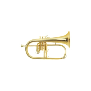 Флюгельгорн Maxtone TFC51LM изображение 1