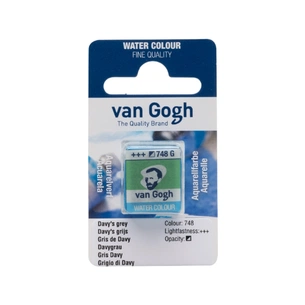 Акварельні фарби Royal Talens Van Gogh (748), Сірий Деві, кювета (8712079419561) зображення 1