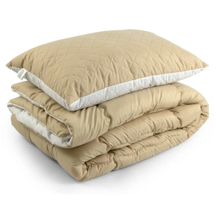 Ковдра Руно набір ковдра 140х205 + 1 подушка 50х70 силіконова Бежева (К_924.52СЛ300_Бежевий) зображення 1