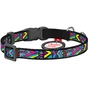Нашийник для тварин WAUDOG Інді з QR паспортом XS 20-30 см (5270) - уменьшенное изображение 2