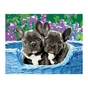 Картина по номерам Rosa Star Цуценята 35х45 см (4823098525141) - зменшене зображення 1