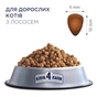 Сухий корм для кішок Club 4 Paws Преміум з лососем 900 г (4820269144729) - зменшене зображення 2