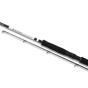 Вудилище Shimano Vengeance BX Sea Bass 24H 2.4m 20-60g (SVBX24SBH) зображення 1