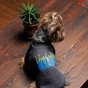 Толстовка для тварин Pet Fashion "I stand with" M (4823082431373) - зменшене зображення 3