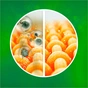 Капсули для прання Ariel Pods Все-в-1 Color 30 шт. (8001090758446) - зменшене зображення 6