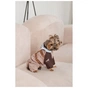Дощовик для тварин Pet Fashion Mustang XL (4823082435128) - уменьшенное изображение 6
