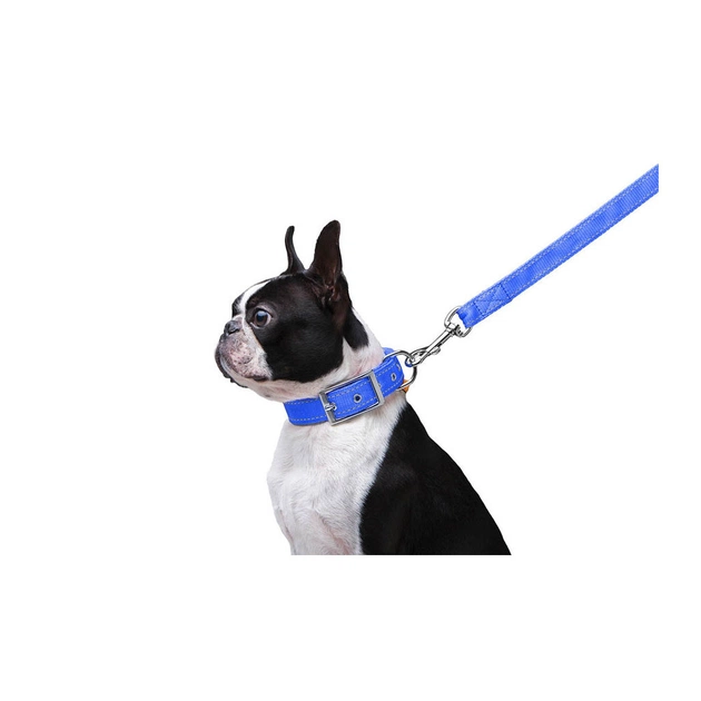Повідець для собак Dog Extreme з нейлону подвійний Ш 20 мм Д 122 см блакитний (42982) - picture 4